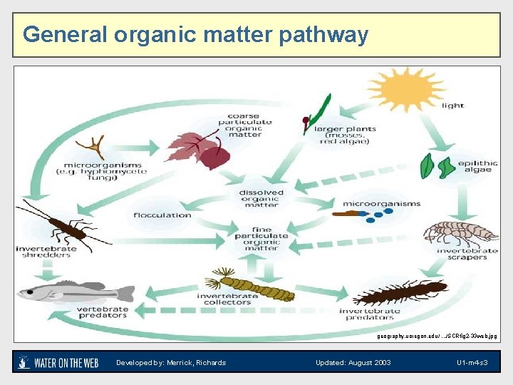 General organic matter pathway geography. uoregon. edu /. . . /SCRfig 2 -33 web.