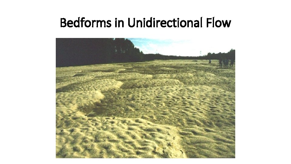 Bedforms in Unidirectional Flow 