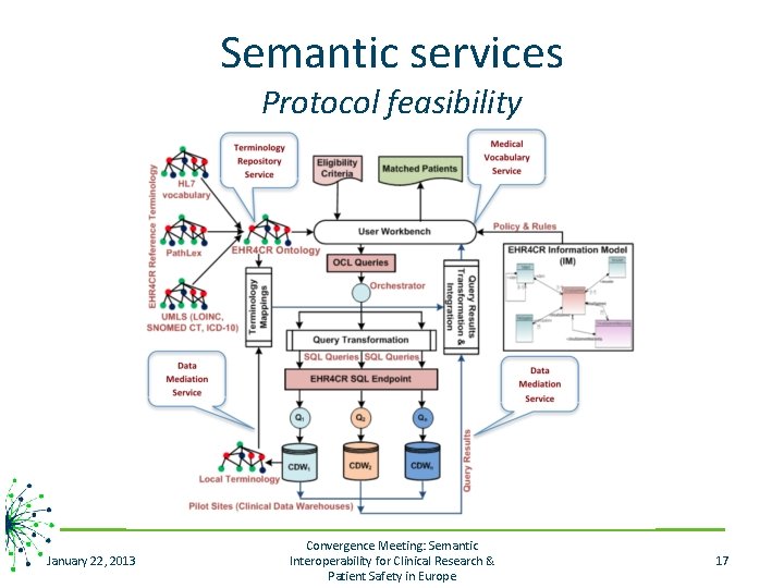 Semantic services Protocol feasibility January 22, 2013 Convergence Meeting: Semantic Interoperability for Clinical Research