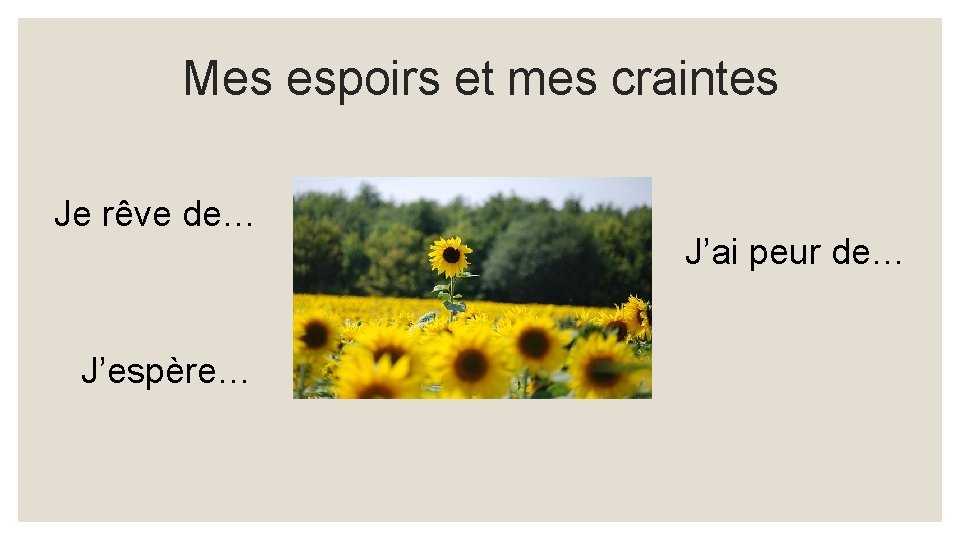 Mes espoirs et mes craintes Je rêve de… J’espère… J’ai peur de… 