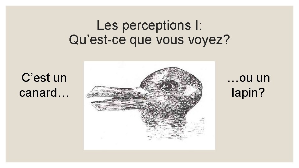 Les perceptions I: Qu’est-ce que vous voyez? C’est un canard… …ou un lapin? 