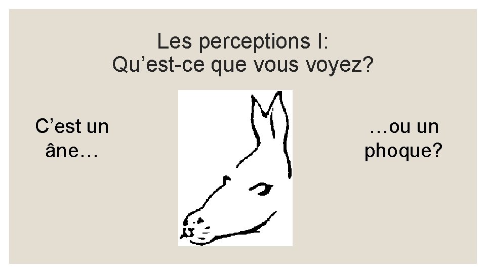 Les perceptions I: Qu’est-ce que vous voyez? C’est un âne… …ou un phoque? 