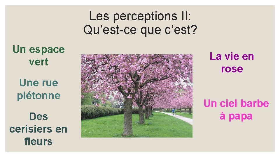 Les perceptions II: Qu’est-ce que c’est? Un espace vert Une rue piétonne Des cerisiers