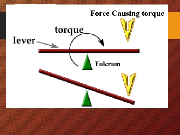 Force Causing torque Fulcrum 
