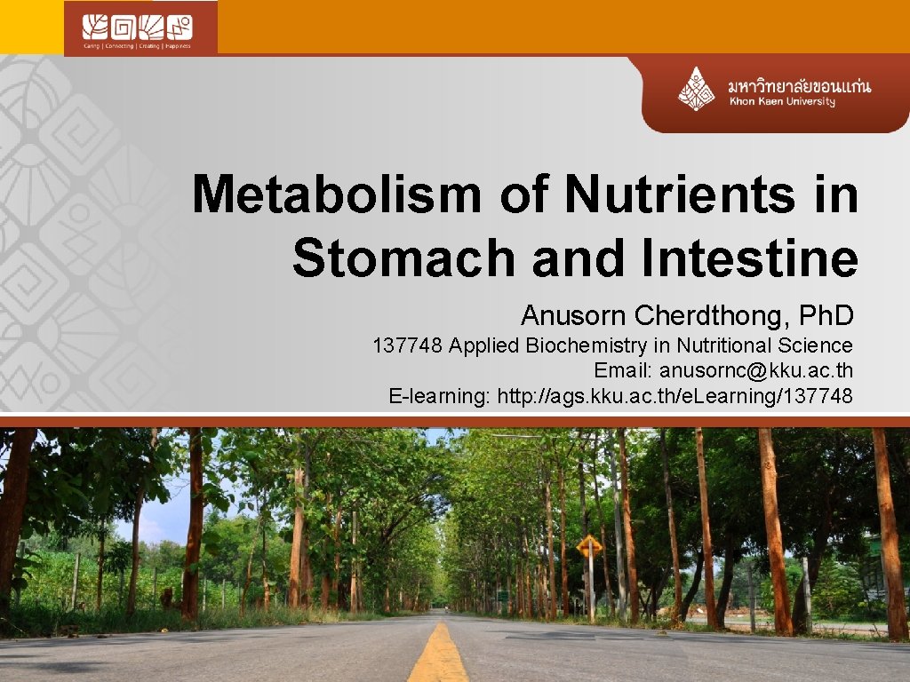 Metabolism of Nutrients in Stomach and Intestine Anusorn Cherdthong, Ph. D 137748 Applied Biochemistry