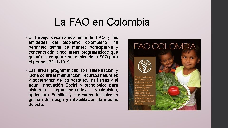 La FAO en Colombia • El trabajo desarrollado entre la FAO y las entidades