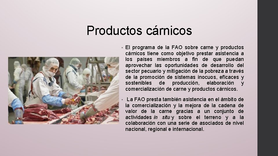 Productos cárnicos • El programa de la FAO sobre carne y productos cárnicos tiene