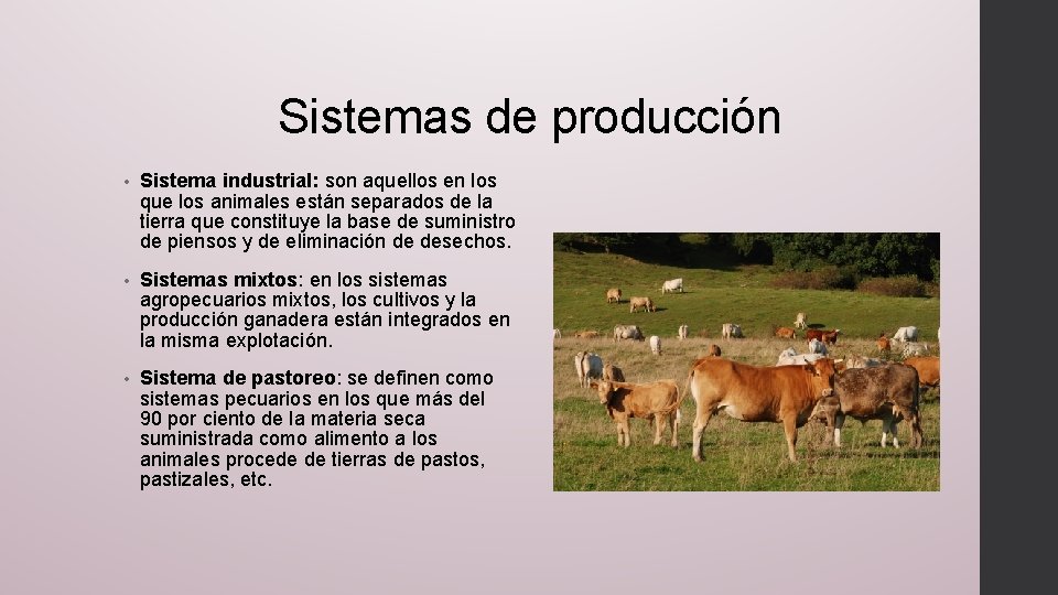 Sistemas de producción • Sistema industrial: son aquellos en los que los animales están