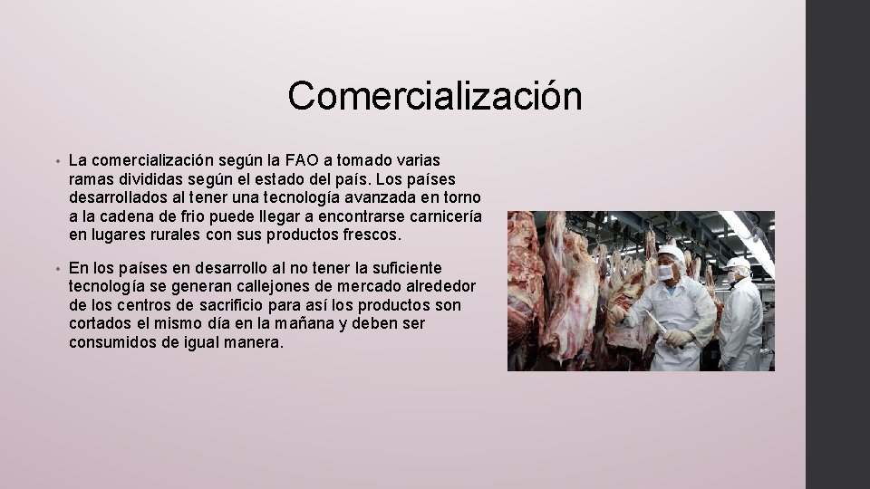 Comercialización • La comercialización según la FAO a tomado varias ramas divididas según el