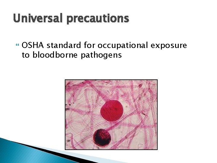 Universal precautions OSHA standard for occupational exposure to bloodborne pathogens 5 b 