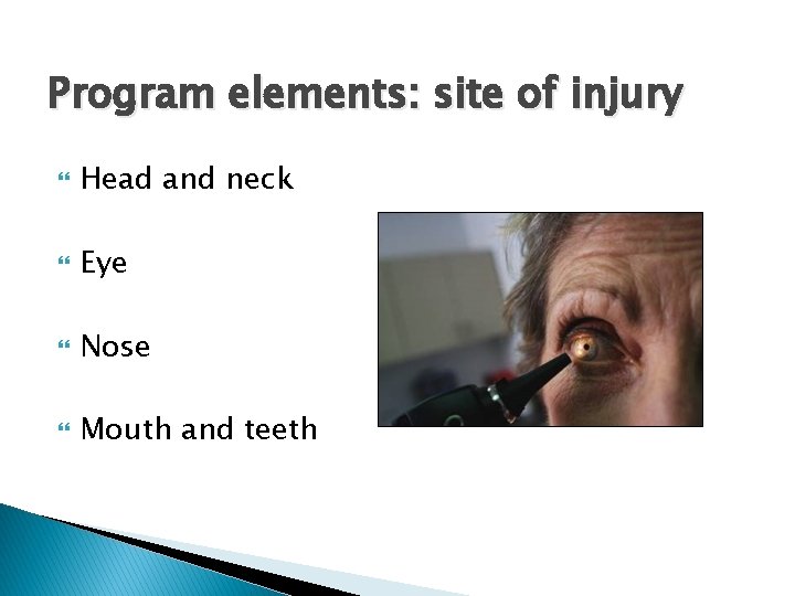 Program elements: site of injury Head and neck Eye Nose Mouth and teeth 7