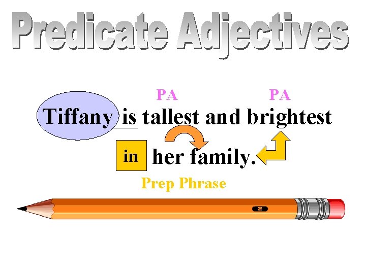 PA PA Tiffany is tallest and brightest in in her family. Prep Phrase 