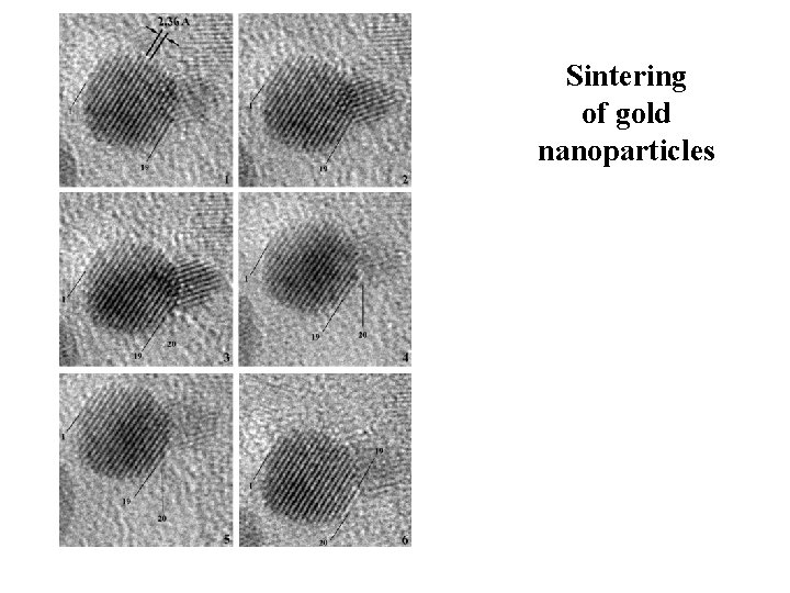Sintering of gold nanoparticles 