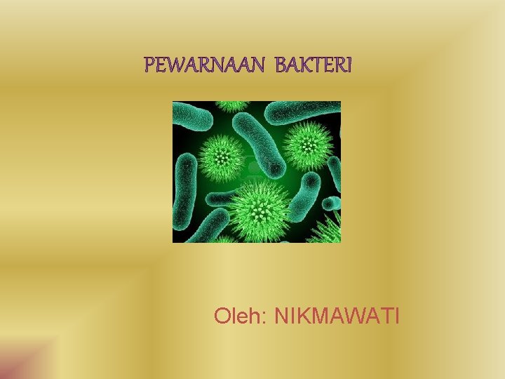 PEWARNAAN BAKTERI Oleh: NIKMAWATI 