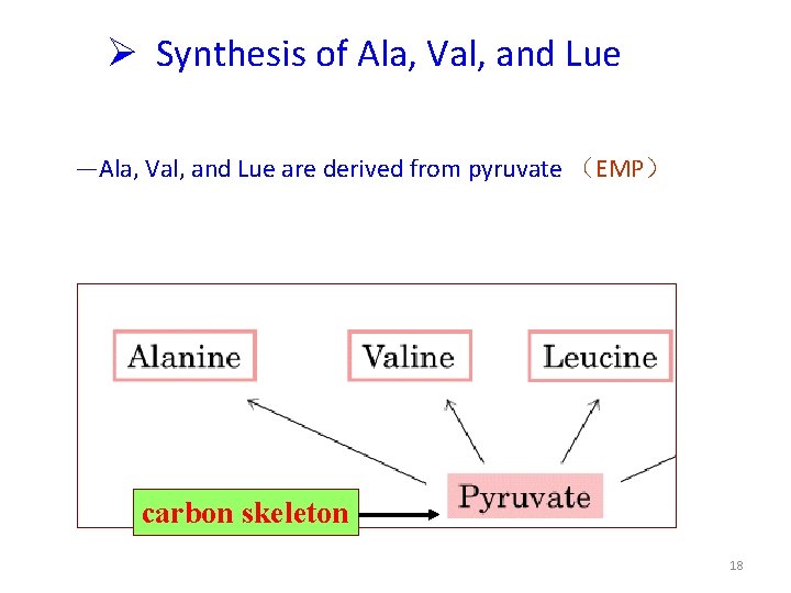 Synthesis of Ala, Val, and Lue —Ala, Val, and Lue are derived from