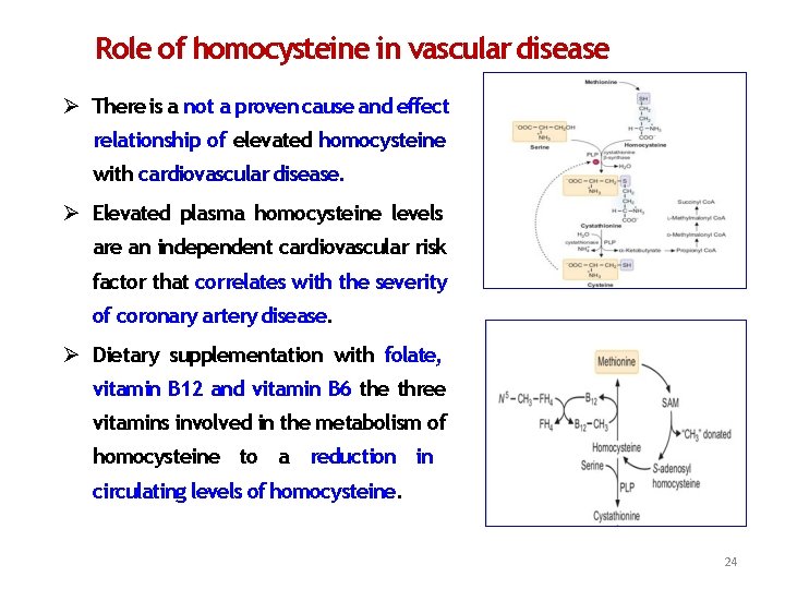 Role of homocysteine in vascular disease There is a not a proven cause and