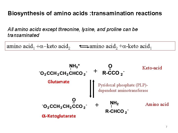Biosynthesis of amino acids : transamination reactions All amino acids except threonine, lysine, and