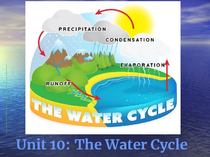 Unit 10: The Water Cycle 