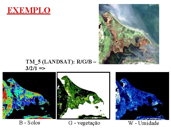 EXEMPLO TM_5 (LANDSAT): R/G/B – 3/2/1 => B - Solos G - vegetação W