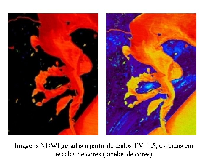 Imagens NDWI geradas a partir de dados TM_L 5, exibidas em escalas de cores