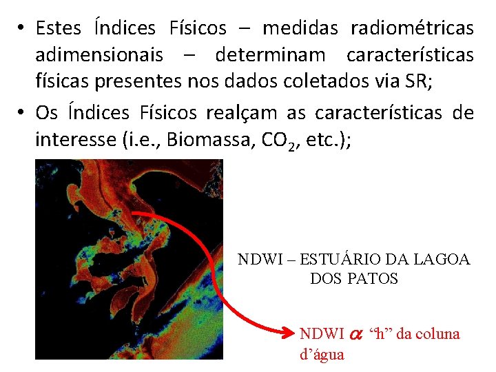  • Estes Índices Físicos – medidas radiométricas adimensionais – determinam características físicas presentes