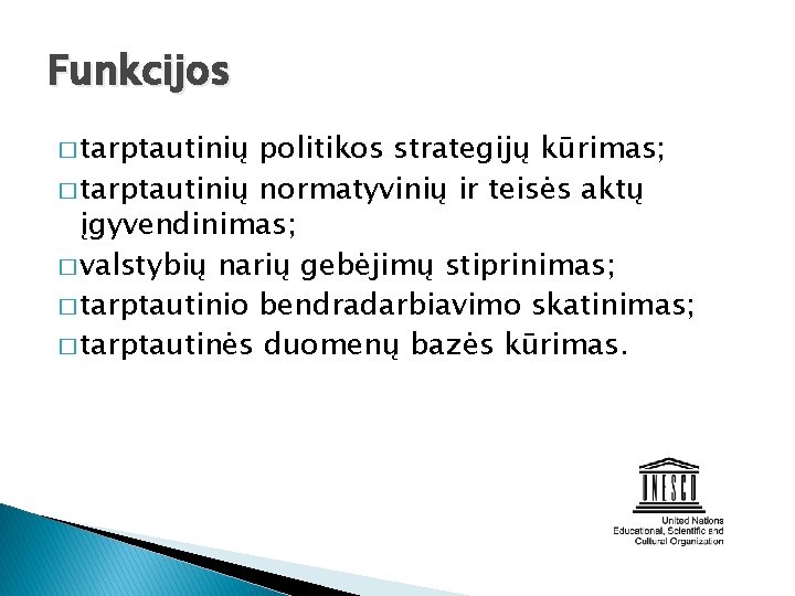 Funkcijos � tarptautinių politikos strategijų kūrimas; � tarptautinių normatyvinių ir teisės aktų įgyvendinimas; �