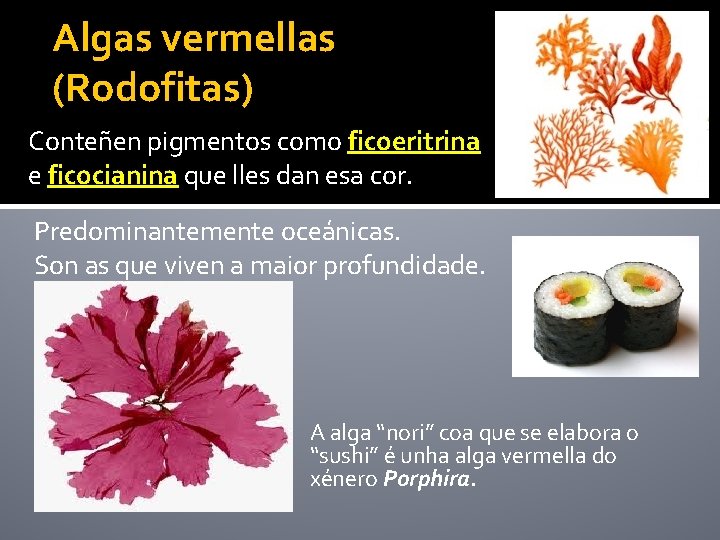 Algas vermellas (Rodofitas) Conteñen pigmentos como ficoeritrina e ficocianina que lles dan esa cor.