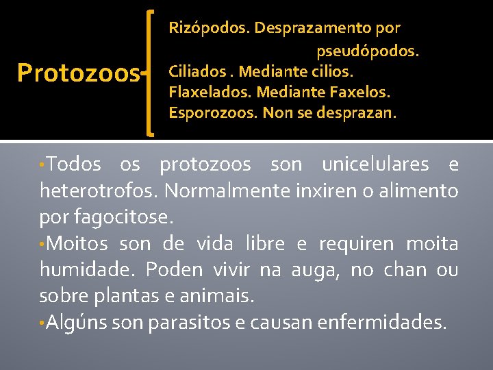 Protozoos • Todos Rizópodos. Desprazamento por pseudópodos. Ciliados. Mediante cilios. Flaxelados. Mediante Faxelos. Esporozoos.