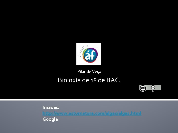 Pilar de Vega Bioloxía de 1º de BAC. Imaxes: http: //www. asturnatura. com/algas. html