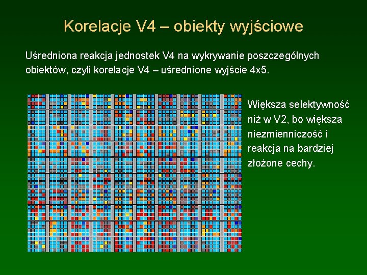 Korelacje V 4 – obiekty wyjściowe Uśredniona reakcja jednostek V 4 na wykrywanie poszczególnych