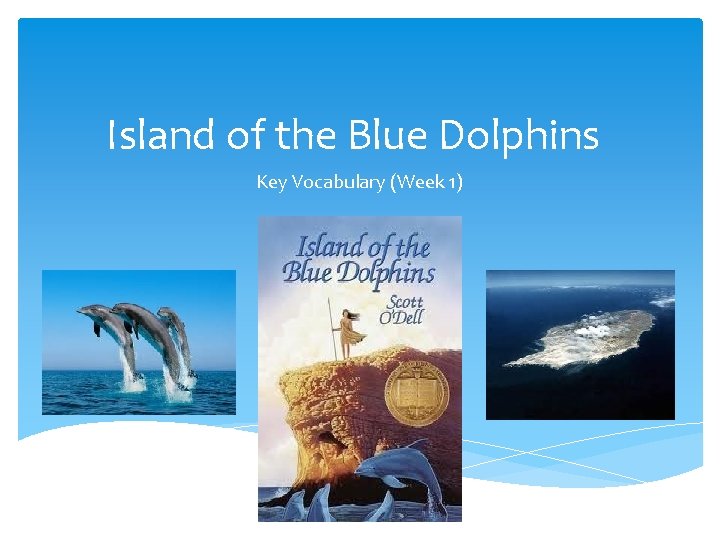 Island of the Blue Dolphins Key Vocabulary (Week 1) 