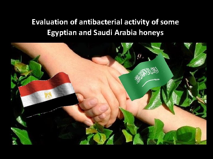 Evaluation of antibacterial activity of some Egyptian and Saudi Arabia honeys 