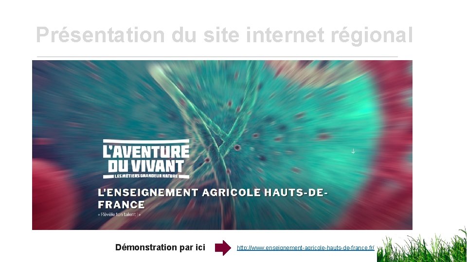 Présentation du site internet régional 13/12/2019 Démonstration par ici http: //www. enseignement-agricole-hauts-de-france. fr/ 5
