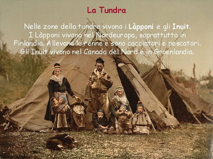 La Tundra Nelle zone della tundra vivono i Làpponi e gli Inuit. I Làpponi