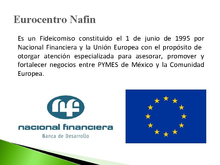 Eurocentro Nafin Es un Fideicomiso constituido el 1 de junio de 1995 por Nacional