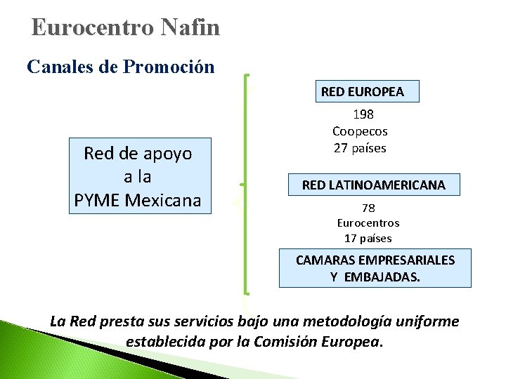 Eurocentro Nafin Canales de Promoción RED EUROPEA Red de apoyo a la PYME Mexicana