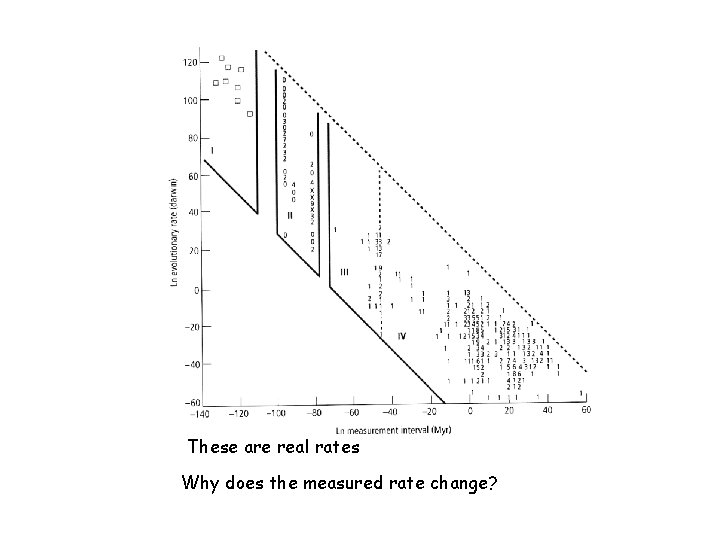 These are real rates Why does the measured rate change? 