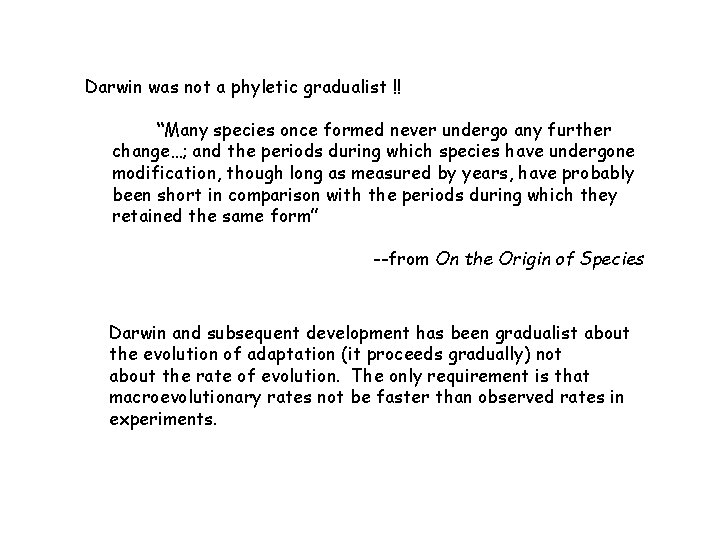 Darwin was not a phyletic gradualist !! “Many species once formed never undergo any