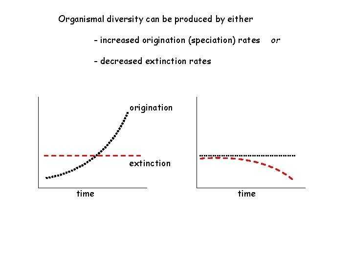 Organismal diversity can be produced by either - increased origination (speciation) rates - decreased