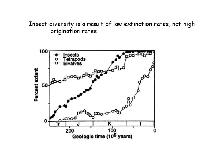 Insect diversity is a result of low extinction rates, not high origination rates 