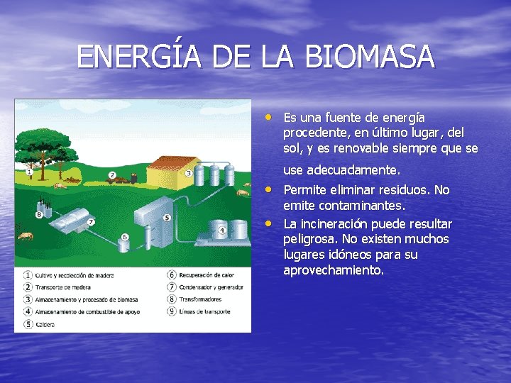 ENERGÍA DE LA BIOMASA • Es una fuente de energía procedente, en último lugar,