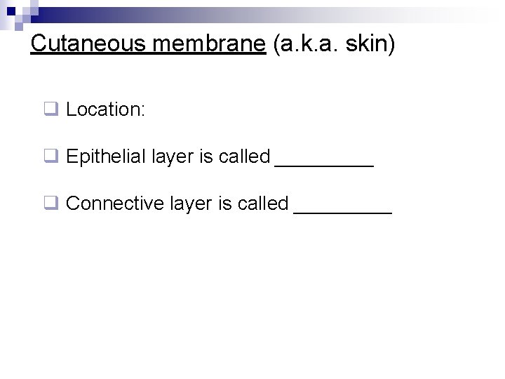 Cutaneous membrane (a. k. a. skin) q Location: q Epithelial layer is called _____