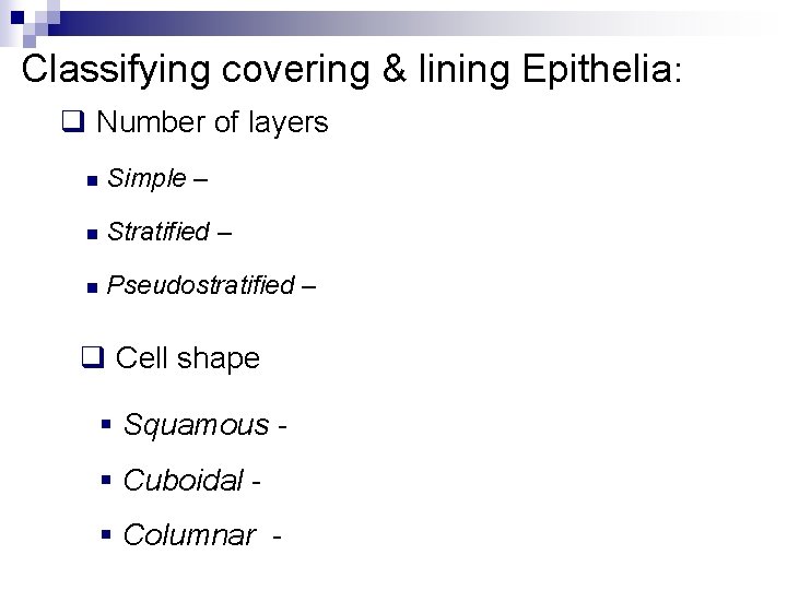 Classifying covering & lining Epithelia: q Number of layers n Simple – n Stratified