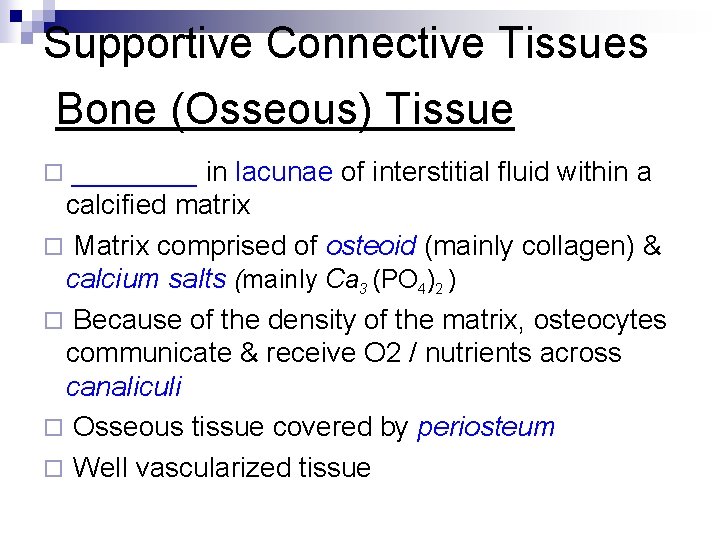 Supportive Connective Tissues Bone (Osseous) Tissue ____ in lacunae of interstitial fluid within a