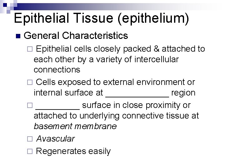 Epithelial Tissue (epithelium) n General Characteristics Epithelial cells closely packed & attached to each