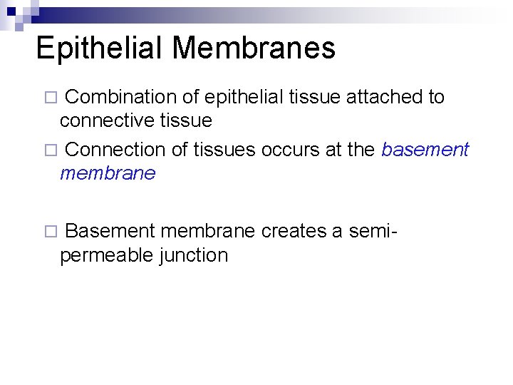 Epithelial Membranes Combination of epithelial tissue attached to connective tissue ¨ Connection of tissues