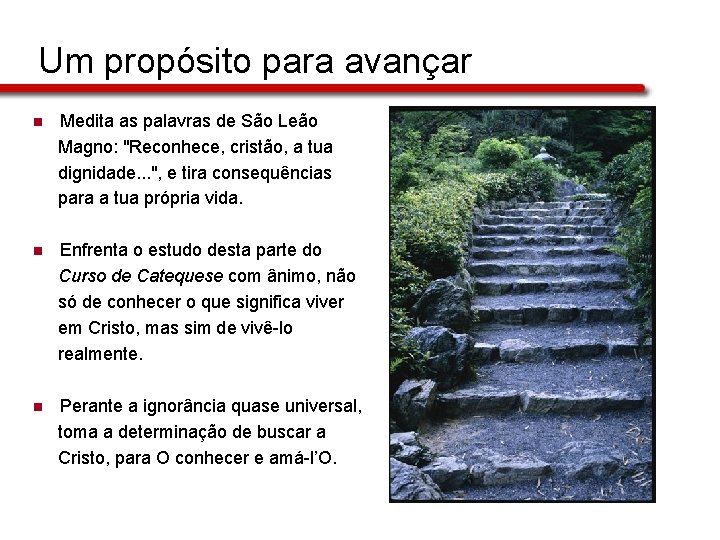 Um propósito para avançar n Medita as palavras de São Leão Magno: "Reconhece, cristão, Um propósito para avançar n Medita as palavras de São Leão Magno: "Reconhece, cristão,