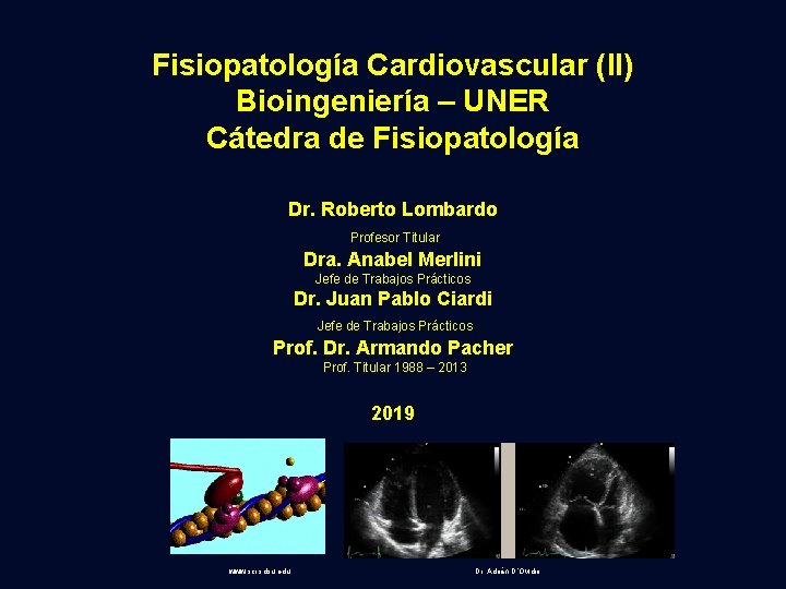 Fisiopatología Cardiovascular (II) Bioingeniería – UNER Cátedra de Fisiopatología Dr. Roberto Lombardo Profesor Titular