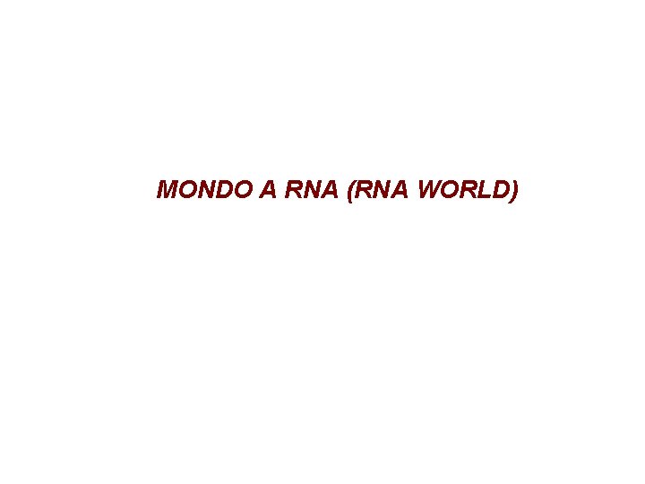 MONDO A RNA (RNA WORLD) 