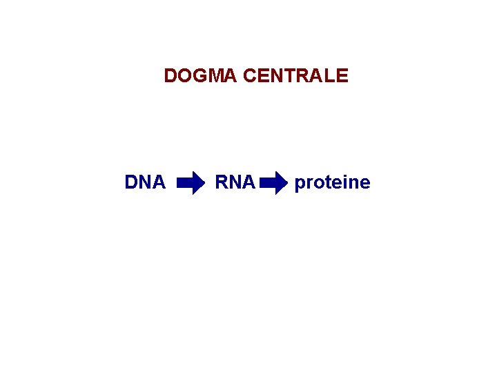 DOGMA CENTRALE DNA RNA proteine 